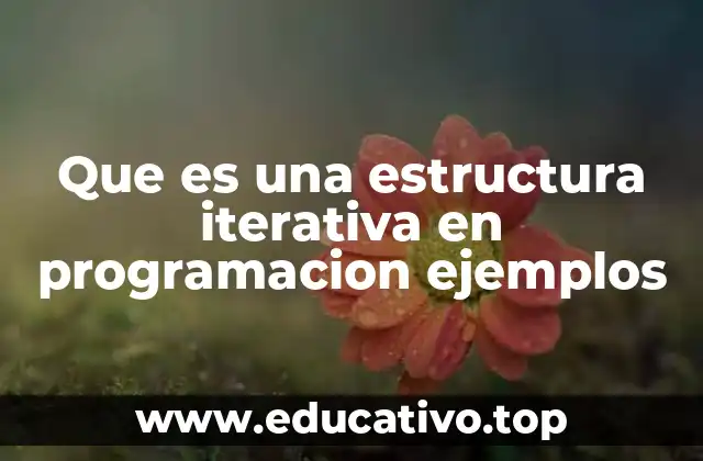 Que es una estructura iterativa en programacion ejemplos