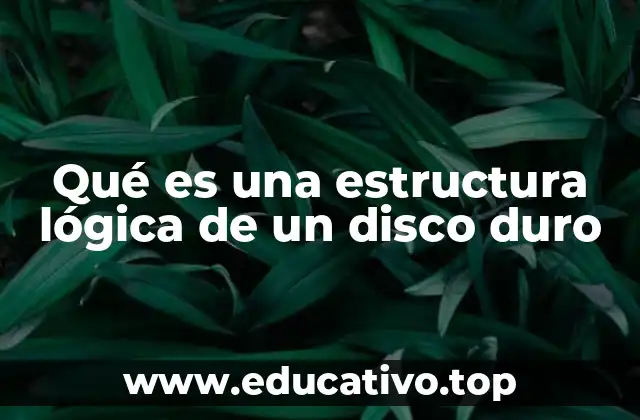 Qué es una estructura lógica de un disco duro