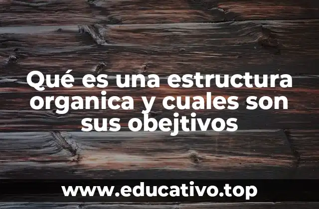 Qué es una estructura organica y cuales son sus obejtivos
