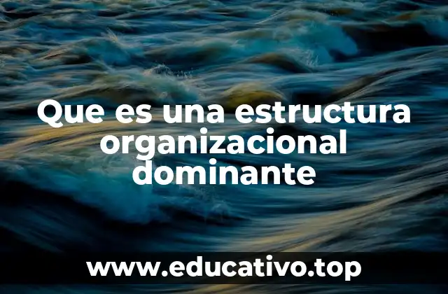Que es una estructura organizacional dominante