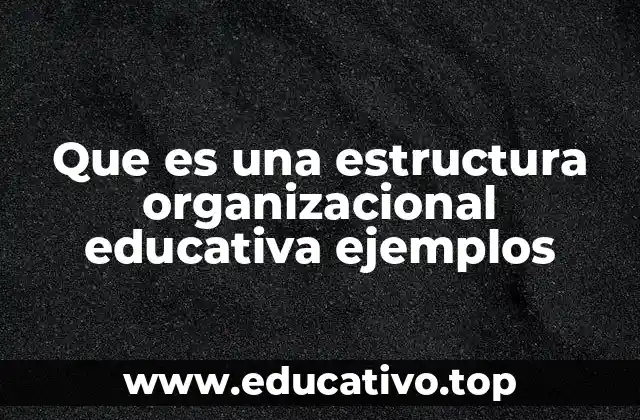 Que es una estructura organizacional educativa ejemplos