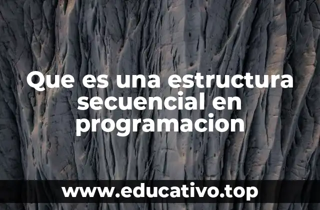 Que es una estructura secuencial en programacion