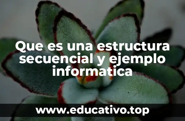 Que es una estructura secuencial y ejemplo informatica
