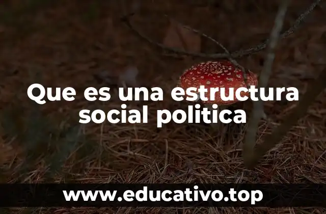Que es una estructura social politica