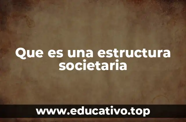Que es una estructura societaria