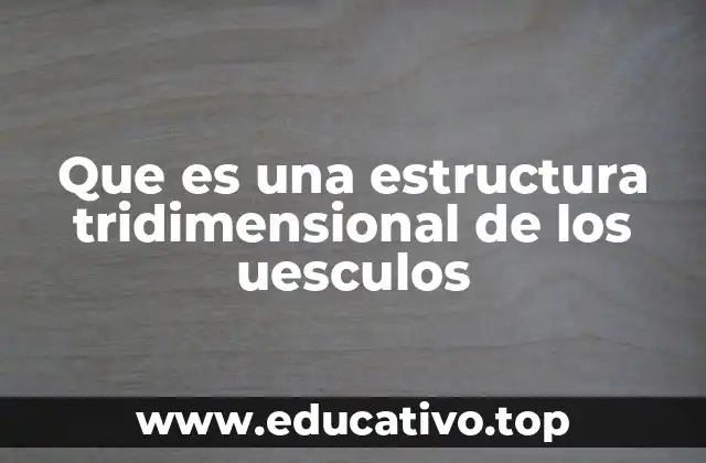 La importancia de la organización espacial en los uesculos