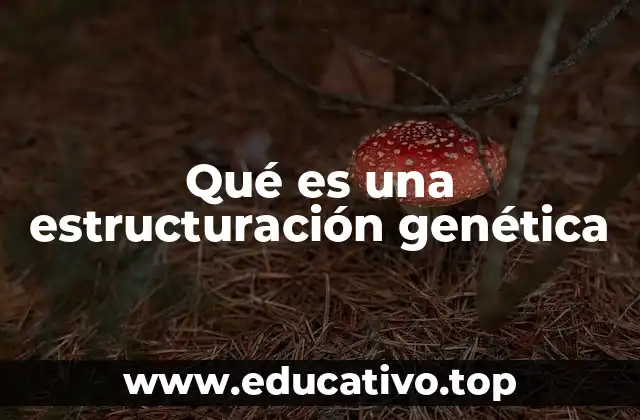 Qué es una estructuración genética