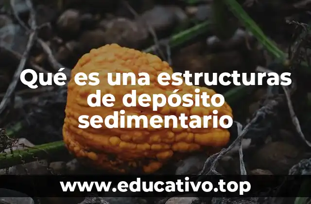 Qué es una estructuras de depósito sedimentario