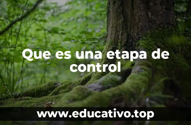 Que es una etapa de control