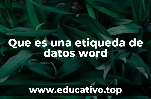 Que es una etiqueda de datos word