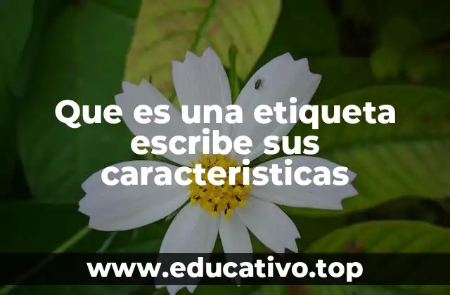 Que es una etiqueta escribe sus caracteristicas