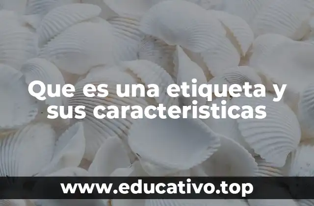 Que es una etiqueta y sus caracteristicas