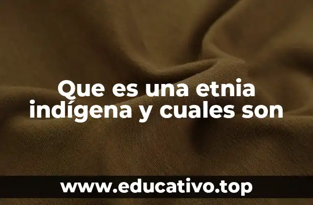Que es una etnia indígena y cuales son