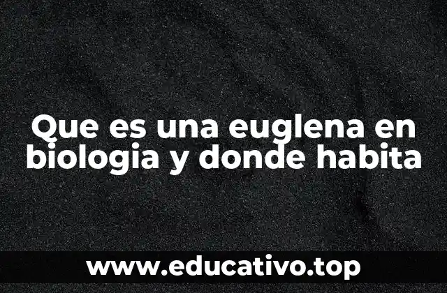 Que es una euglena en biologia y donde habita