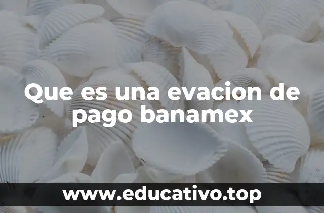 Que es una evacion de pago banamex