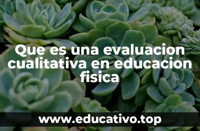 Que es una evaluacion cualitativa en educacion fisica