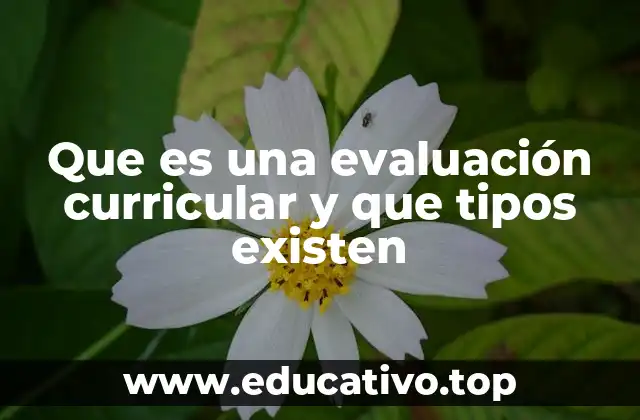 Que es una evaluación curricular y que tipos existen