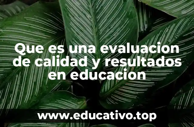 Que es una evaluacion de calidad y resultados en educacion