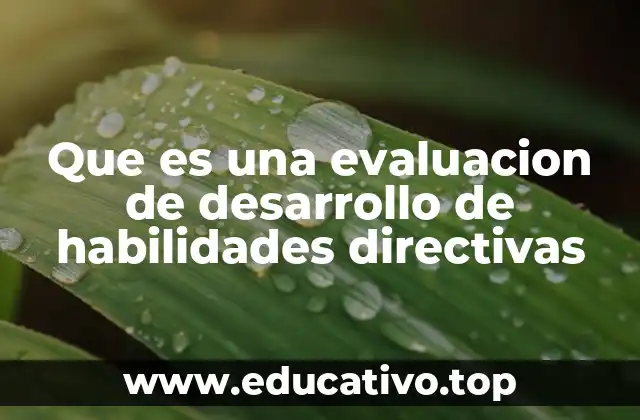 La importancia de medir competencias directivas