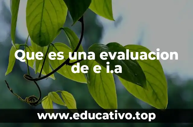 Que es una evaluacion de e i.a