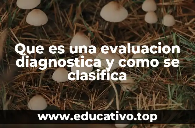 Que es una evaluacion diagnostica y como se clasifica