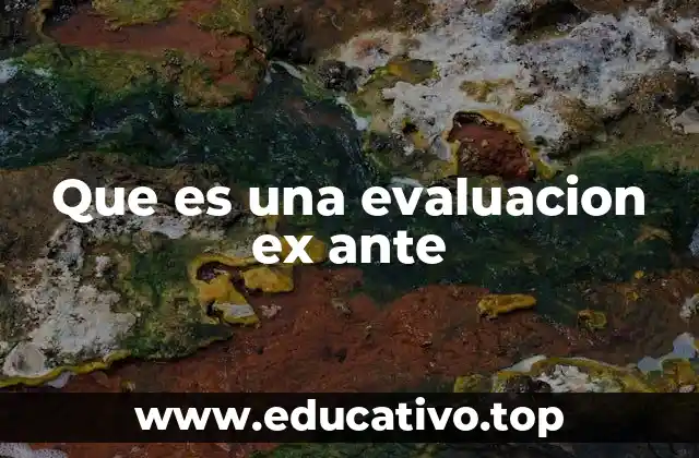 Que es una evaluacion ex ante
