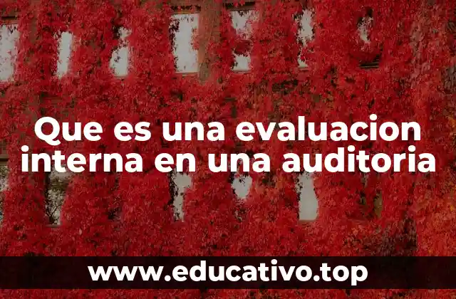 Que es una evaluacion interna en una auditoria