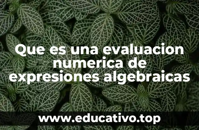 Que es una evaluacion numerica de expresiones algebraicas