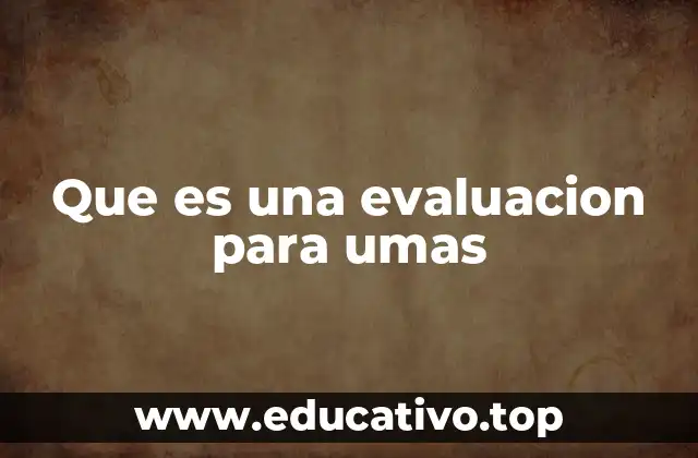 Que es una evaluacion para umas