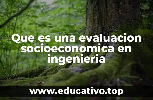 Que es una evaluacion socioeconomica en ingenieria