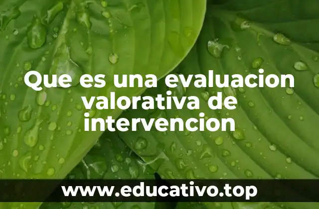 Que es una evaluacion valorativa de intervencion