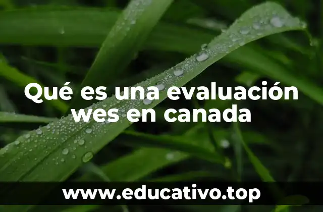 Qué es una evaluación wes en canada