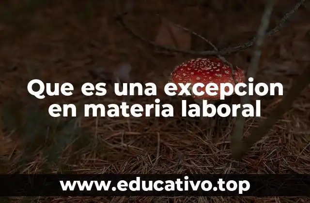 Que es una excepcion en materia laboral