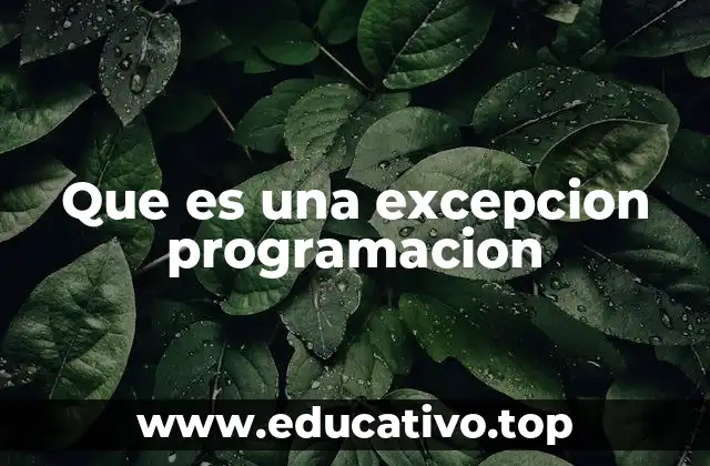 Que es una excepcion programacion
