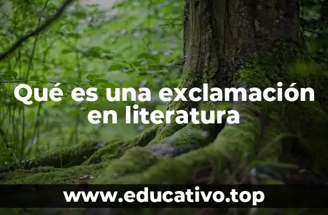 Qué es una exclamación en literatura