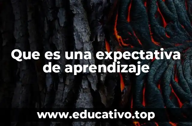 Que es una expectativa de aprendizaje