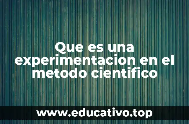 Que es una experimentacion en el metodo cientifico