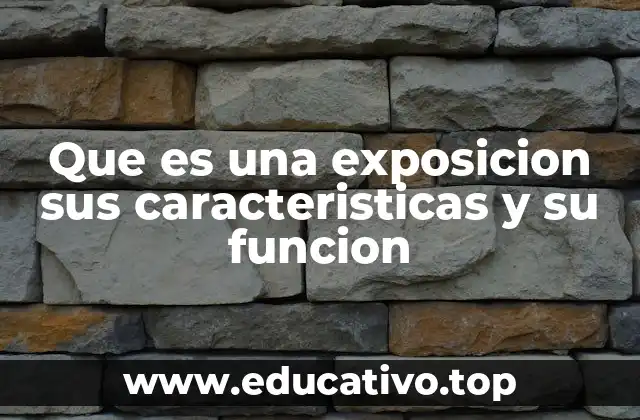 Que es una exposicion sus caracteristicas y su funcion