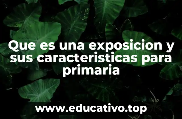 Que es una exposicion y sus caracteristicas para primaria