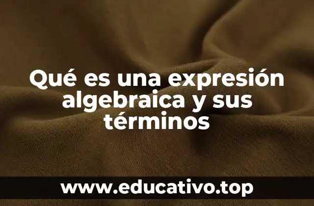 Qué es una expresión algebraica y sus términos
