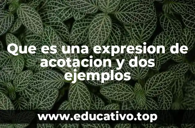 Que es una expresion de acotacion y dos ejemplos
