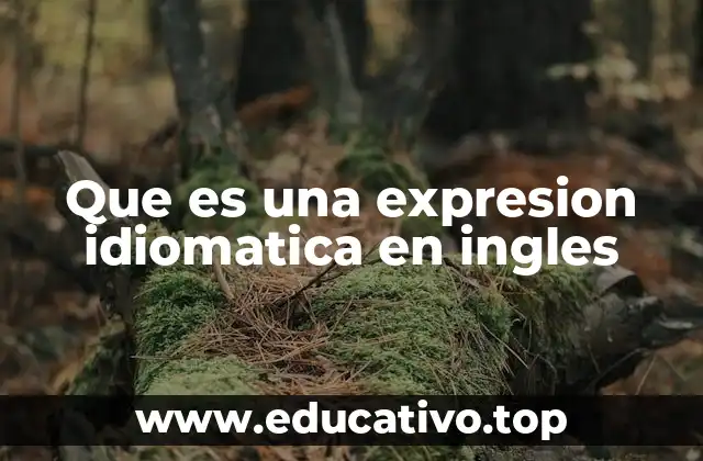 Que es una expresion idiomatica en ingles