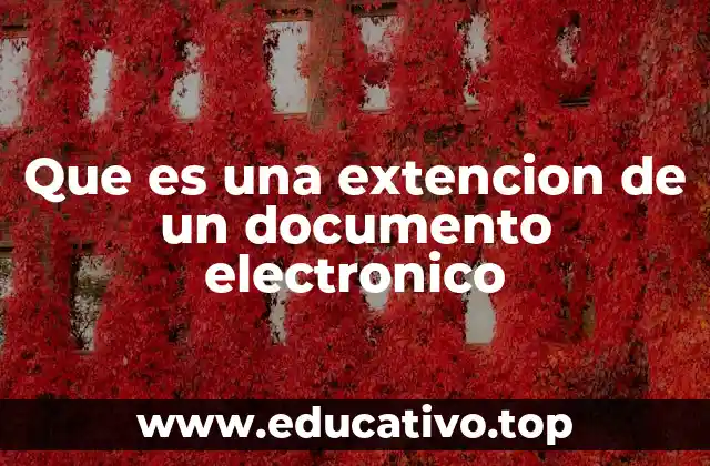 Que es una extencion de un documento electronico