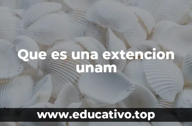 Que es una extencion unam