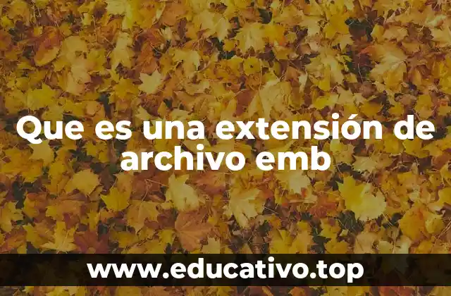 Que es una extensión de archivo emb