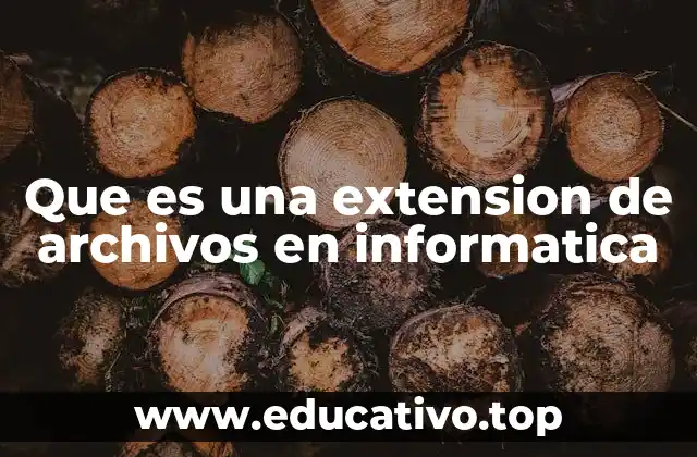 Cómo las extensiones de archivos organizan y clasifican la información