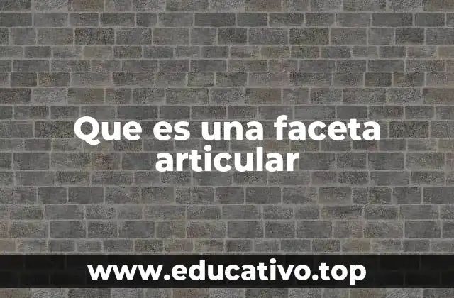 Que es una faceta articular
