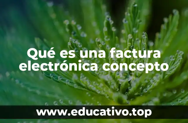 Qué es una factura electrónica concepto