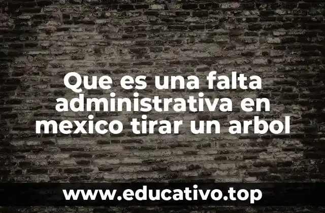Que es una falta administrativa en mexico tirar un arbol