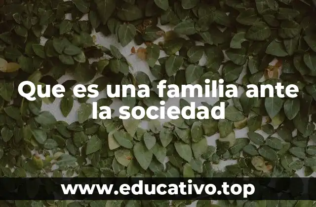 Que es una familia ante la sociedad